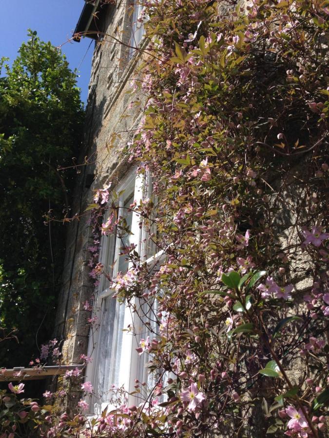 Penzance Seaside Studios Bagian luar foto